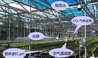 前沿探索 網(wǎng)絡(luò)技術(shù)驅(qū)動下現(xiàn)代智慧農(nóng)業(yè)發(fā)展的五大趨勢